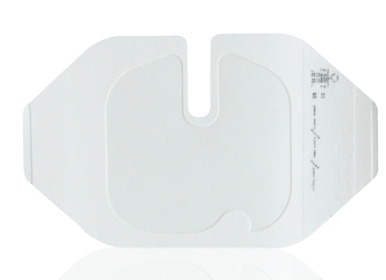 Transparent IV Dress