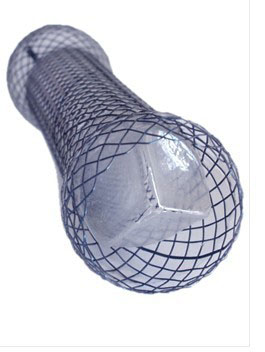 Esophageal Stent