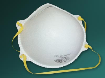 N95 8810 Respirator